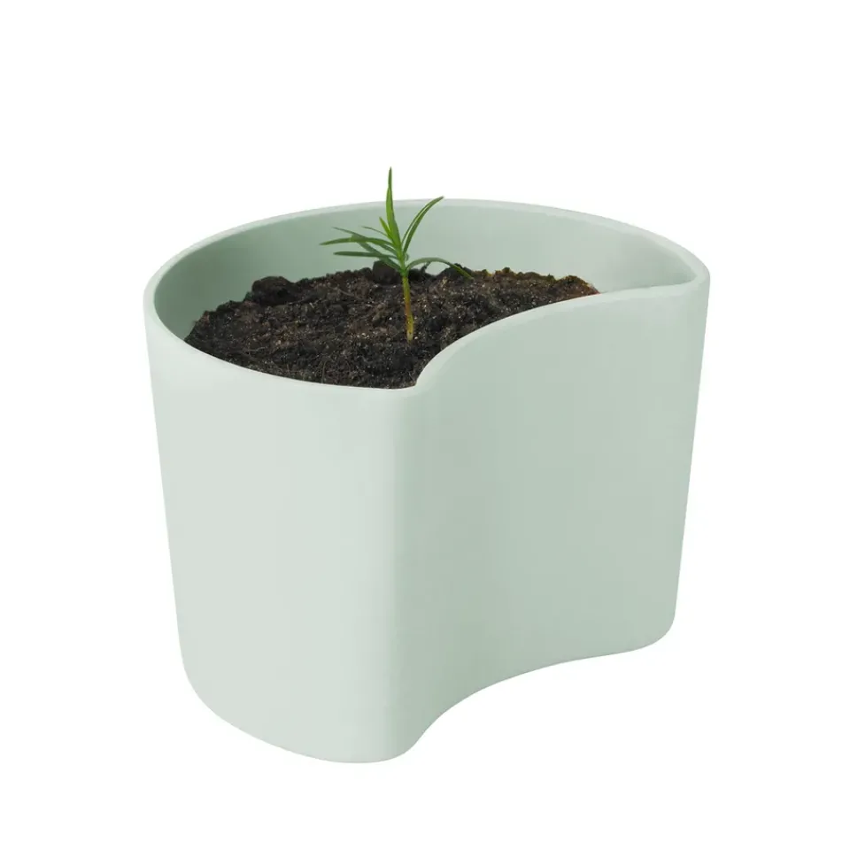 Maceta con semillas YOUR TREE, (pino)*RIG-TIG Best