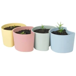 Maceta con semillas YOUR TREE, (pino)*RIG-TIG Outlet