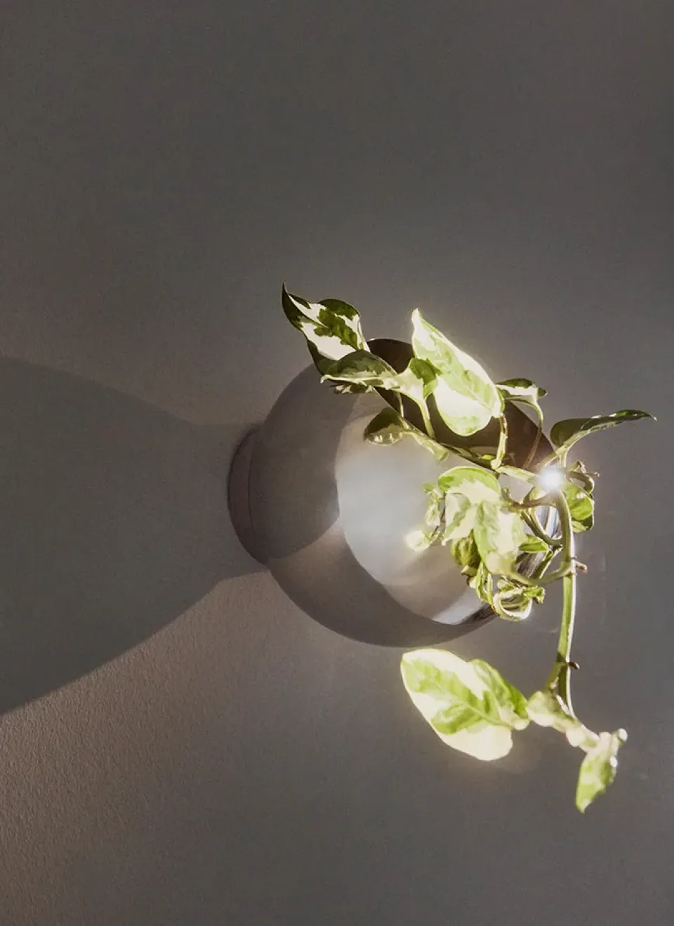Maceta de pared Globe Ø17 cm, Plata*AYTM