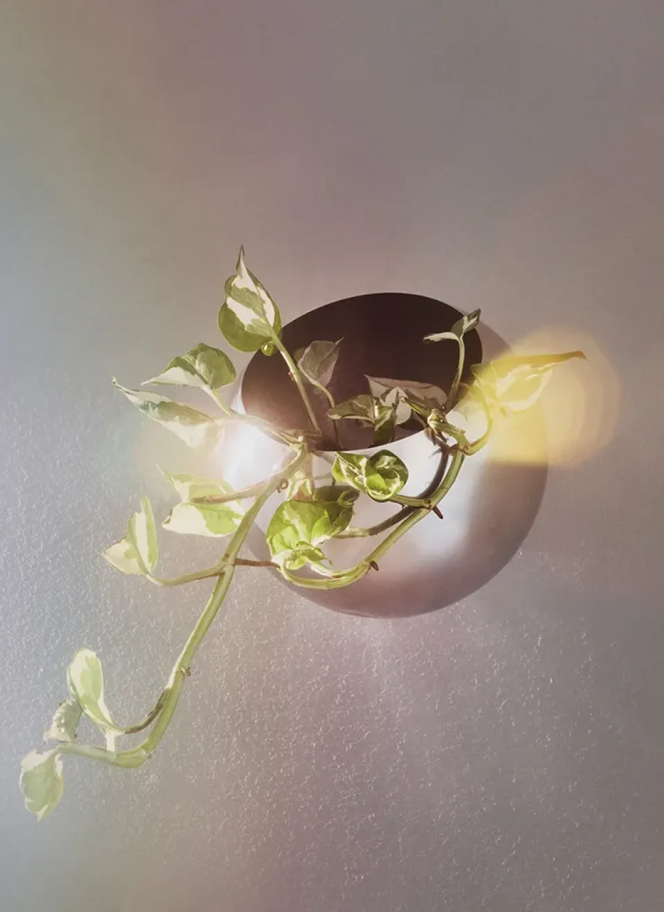 Maceta de pared Globe Ø17 cm, Plata*AYTM