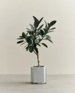 Maceta Funki M 40 cm, Brushed Aluminium*Louise Roe Sale
