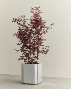 Maceta Funki XL 70 cm, Brushed Aluminium*Louise Roe Online