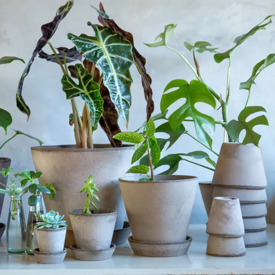 Maceta Julie Ø12 cm,*Bergs Potter Discount