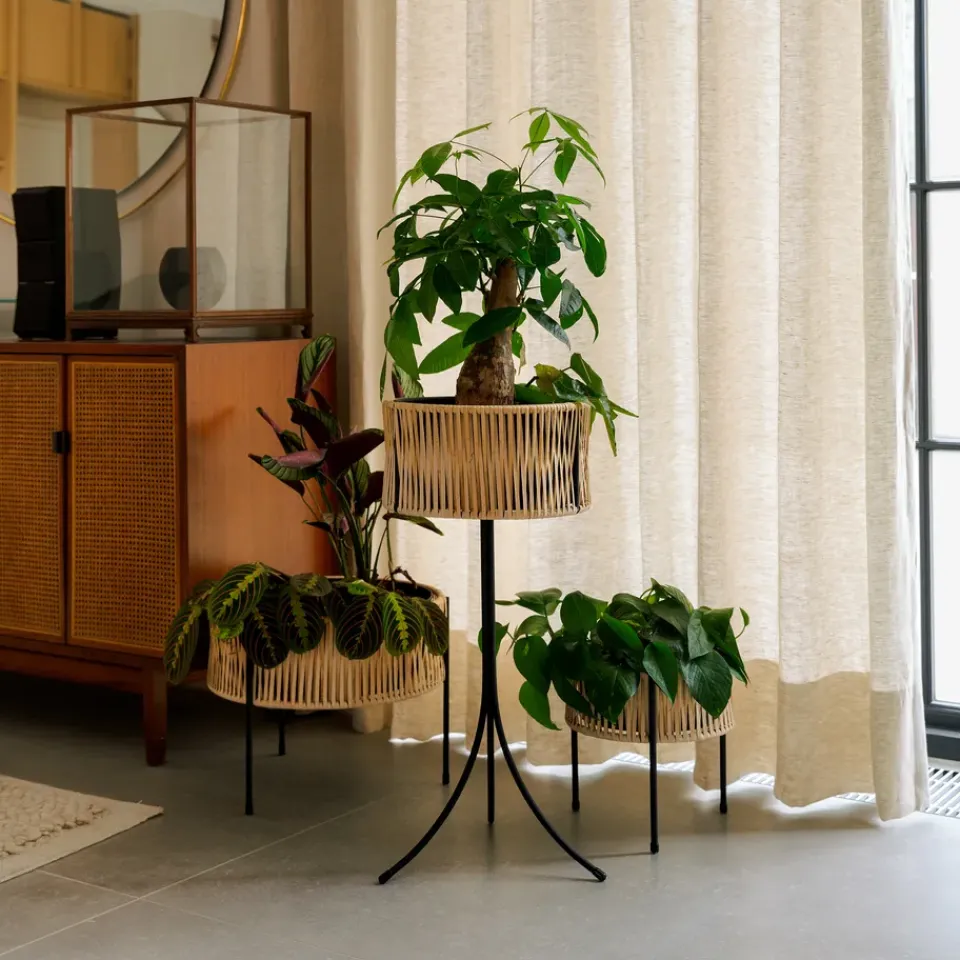 Pedestal para plantas Umanoff ratán-acero, h69 cm Ø36,5 cm*Audo Copenhagen Online