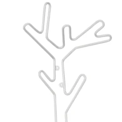 Perchero Branch,*Maze New