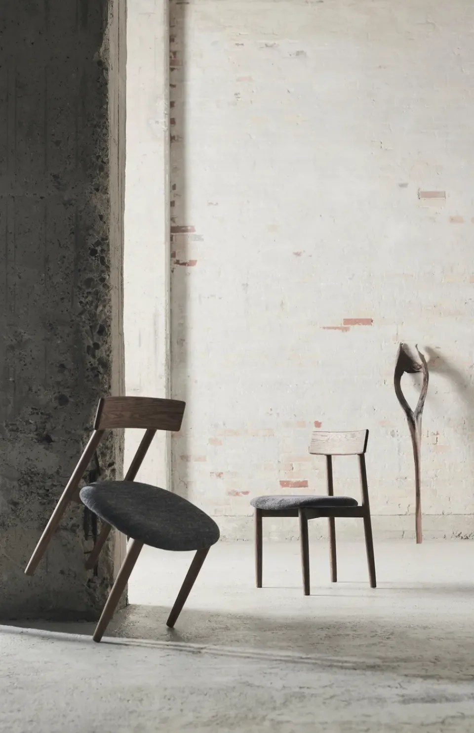 Sillas con asiento Tetra, Tejido color granito-roble oscuro*MUUBS Sale